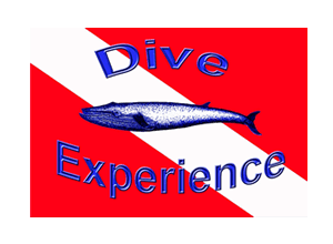 dive-experience